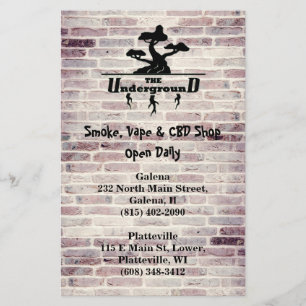 Business Logo and Address info Double Sided Flyer