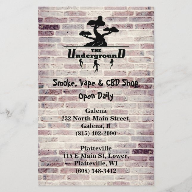 Business Logo and Address info Flyer (Front)