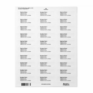 Business Name in Bold Font Return Address Label