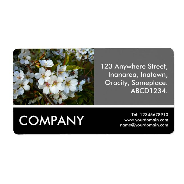 Business Photo - Cherry Blossom (Front)