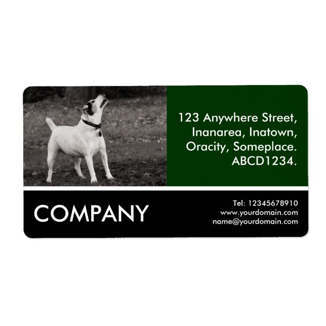 Business Photo - Dog Agog (Front)
