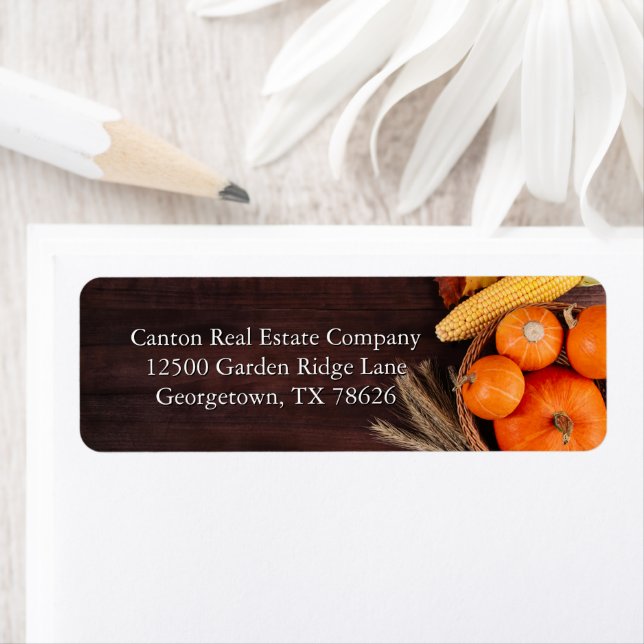 Business Thanksgiving Pumpkins Return Address Label (Insitu)