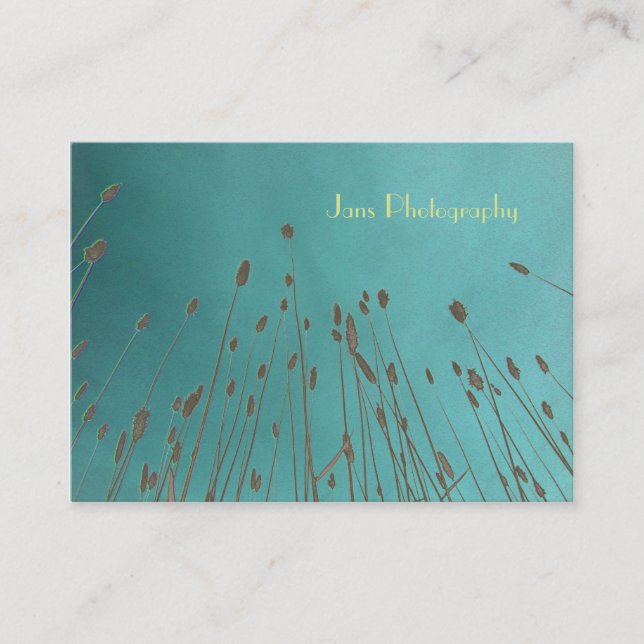 Businesscards template, wheat grass business card (Front)
