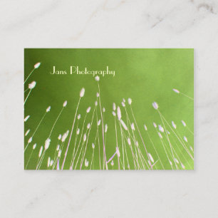 Businesscards template, wheat grass business card