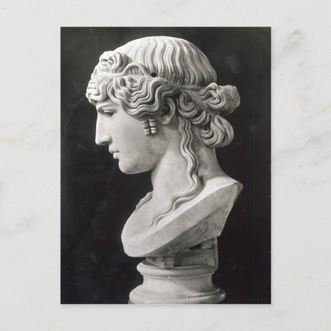 Bust of Antinous  called 'Antinous Mondragone' Postcard (Front)