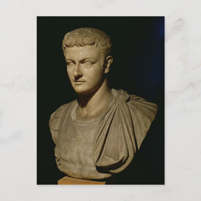 Bust of Caligula Postcard (Front)