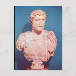 Bust of Emperor Antoninus Pius Postcard