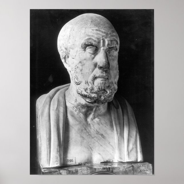 Bust of Hippocrates Poster (Front)