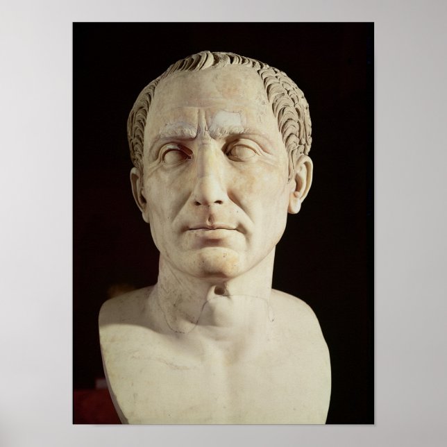 Bust of Julius Caesar 2 Poster (Front)