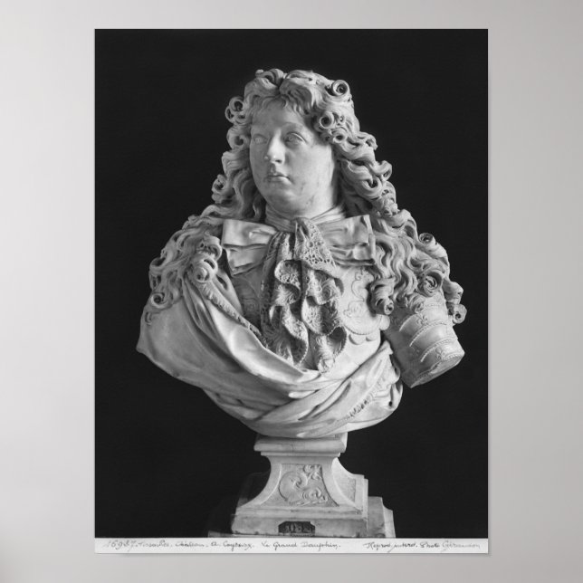 Bust of Louis de France Poster (Front)