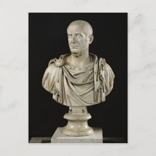Bust of Marcus Claudius Tacitus Postcard