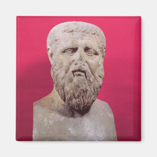 Bust of Plato copy of a 4th century BC original Magnet