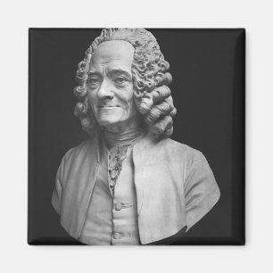 Bust of Voltaire Magnet