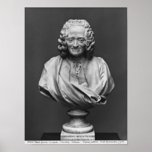 Bust of Voltaire Poster