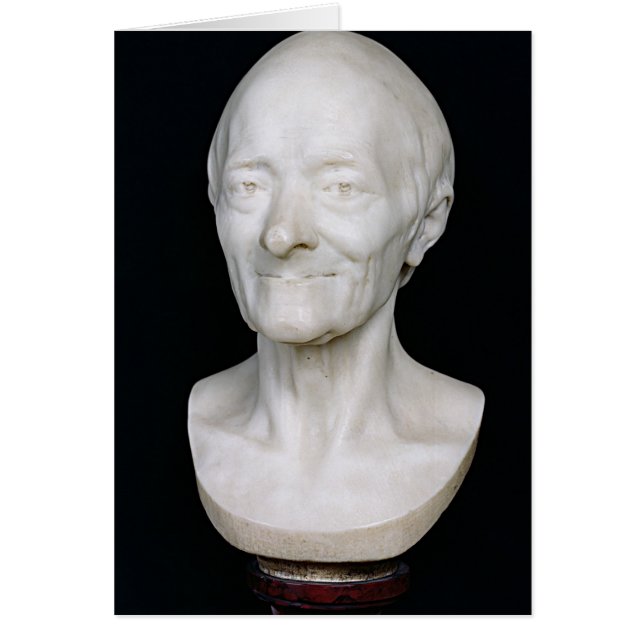 Bust of Voltaire  without his wig, 1778 (Front)