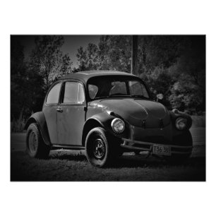 "Busted Bug" Photo Print