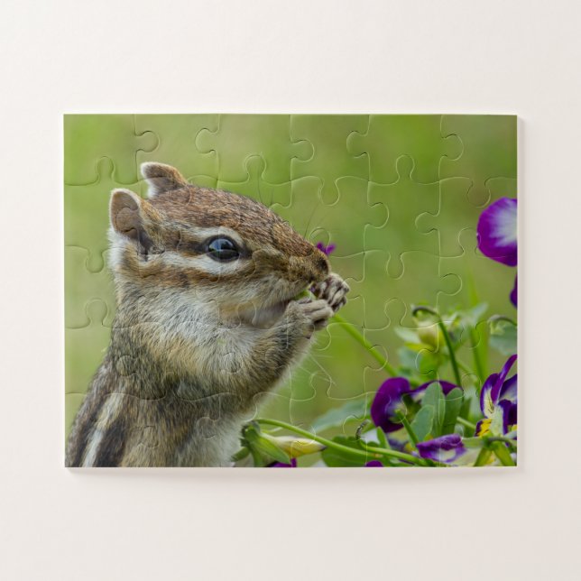 Busted Chipmunk puzzle (Horizontal)
