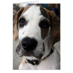 buster 1
