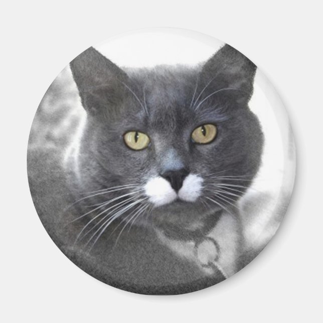 BUSTER MAGNET (Front)