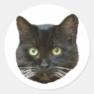 Buster Sticker