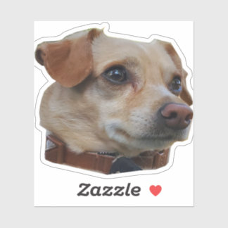 Buster Sticker