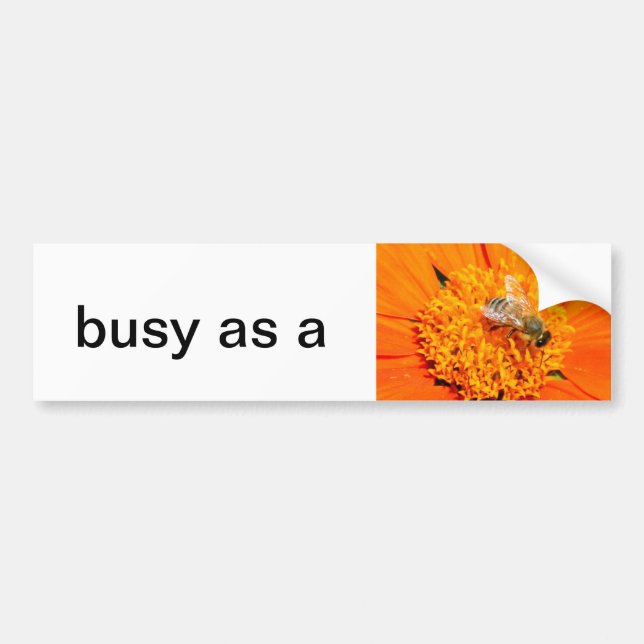 busy as a bee bumper sticker (Front)