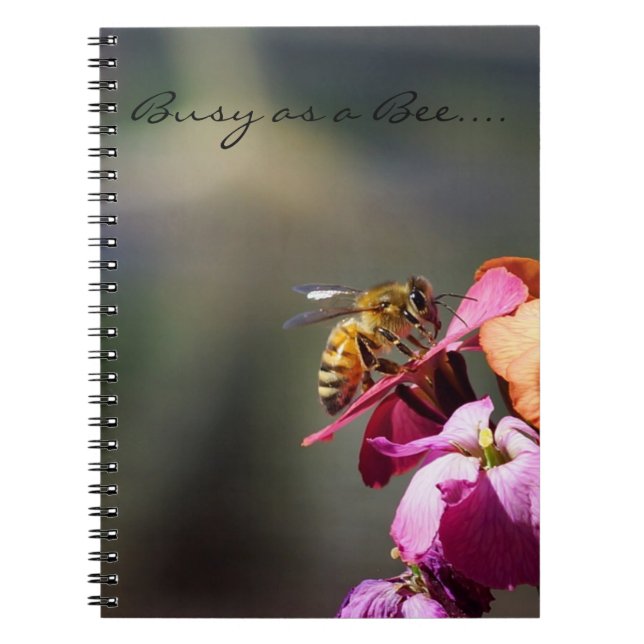 Busy as a Bee Notebook (Front)