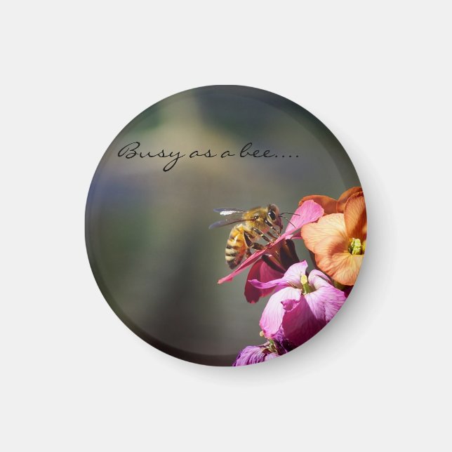 Busy as a Bee reward... Magnet (Front)