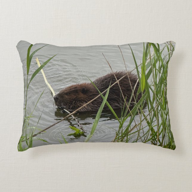 Busy Beaver Accent Pillow (Front)