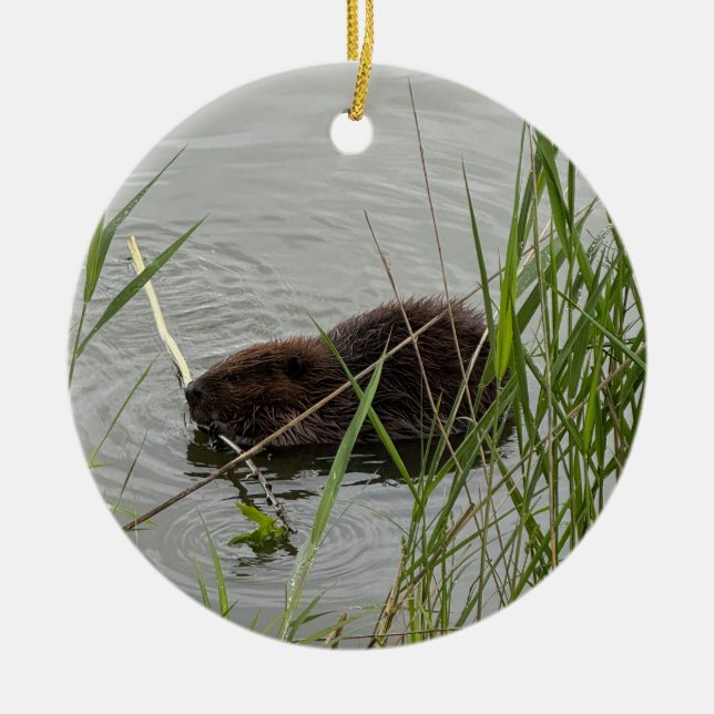Busy Beaver Ceramic Ornament (Front)