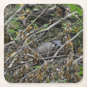 Busy Beaver Square Paper Coaster