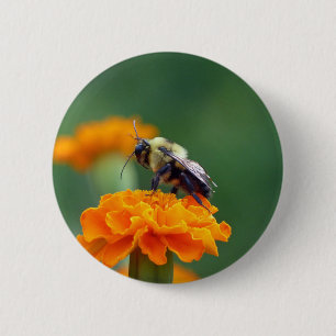 Busy Bee 6 Cm Round Badge