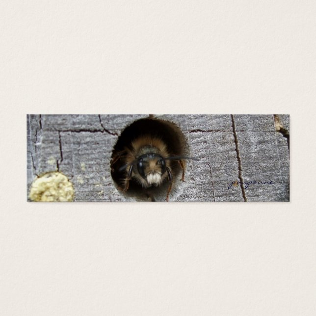 busy bee bookmark (Front)