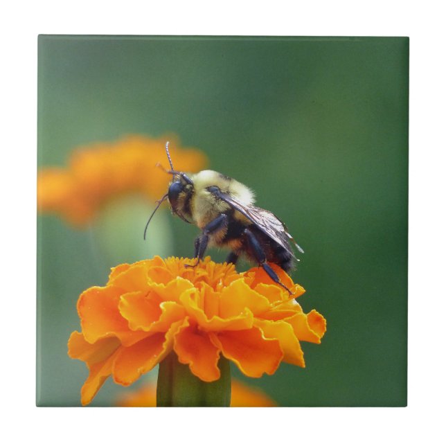Busy Bee Ceramic Tile (Front)