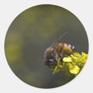 Busy Bee Classic Round Sticker