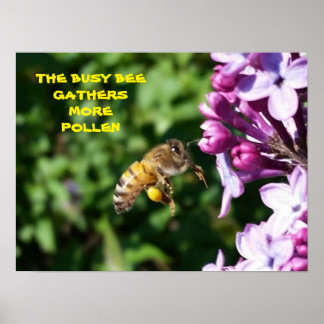 Busy Bee - Employee Motivational Poster