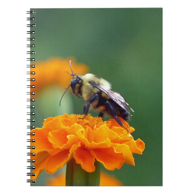 Busy Bee Notebook (Front)