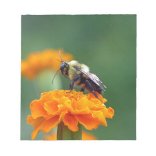 Busy Bee Notepad