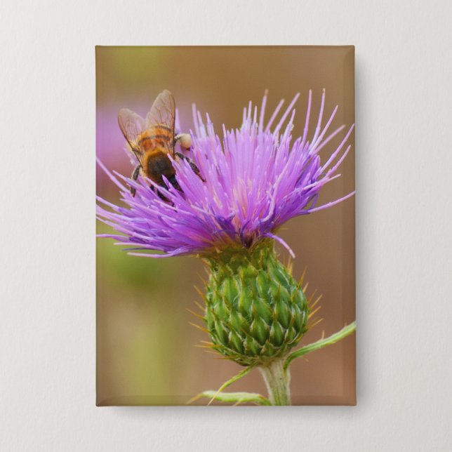 Busy Bee On Purple Thistle Clsoe-Up Photograph (Front)
