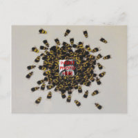 Busy Bee PHOTO INSERT ~ Postcard