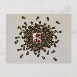 Busy Bee PHOTO INSERT ~ Postcard