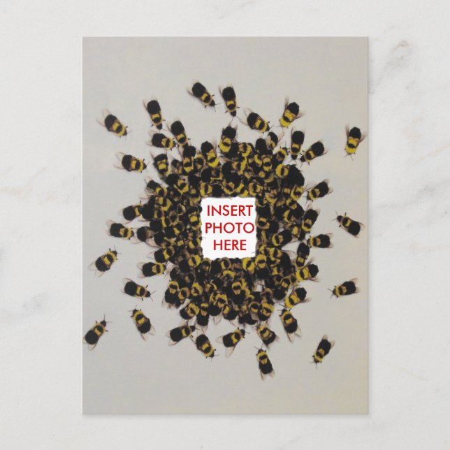 Busy Bee PHOTO INSERT  Postcard (Front)