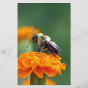 Busy Bee Stationery