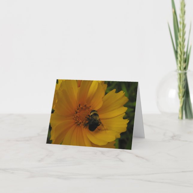 Busy Bee Thank You Card (Front)