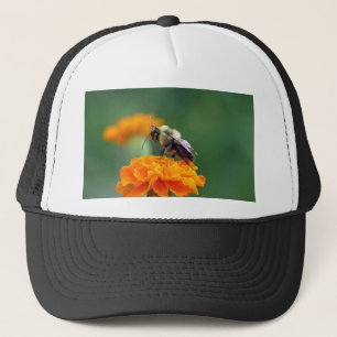 Busy Bee Trucker Hat