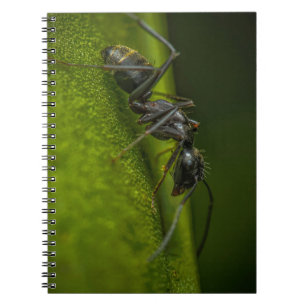 Busy Black Ant on a Green Leaf Notebook