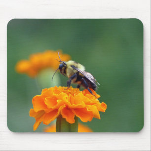 Busy Bumble Bee Mouse Pad
