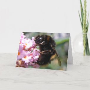 Busy Bumblebee and Pink Flowers Greeting Card