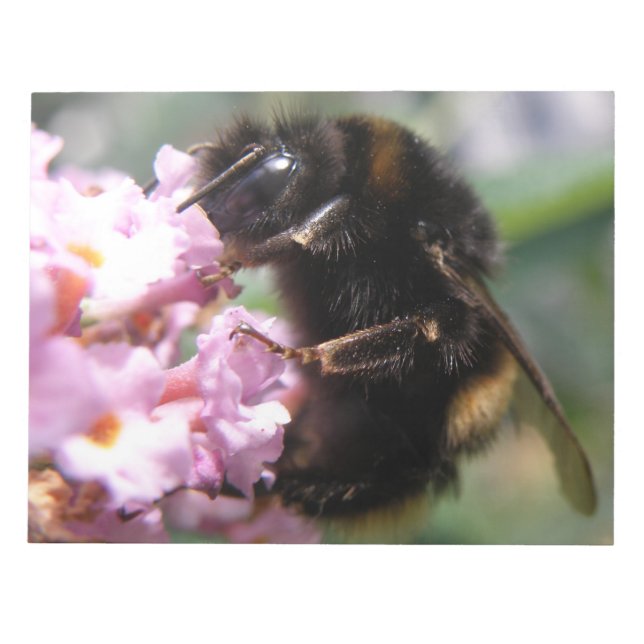 Busy Bumblebee and Pink Flowers Notepad (Front)