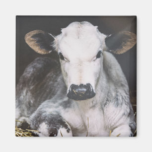 Busy Day Crop Magnet